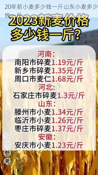 20年前小麦多少钱一斤山东小麦多少钱一斤第2张-蔬菜基地绿色种植产业带