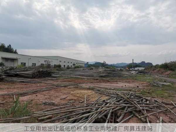 工业用地出让最低价标准工业用地建厂房算违建吗第2张-蔬菜基地绿色种植产业带