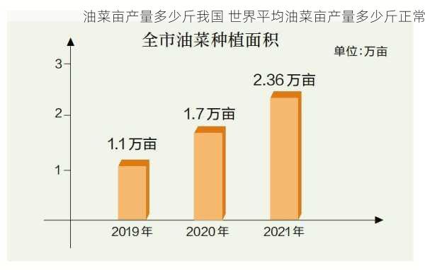 油菜亩产量多少斤我国 世界平均油菜亩产量多少斤正常第2张-蔬菜基地绿色种植产业带