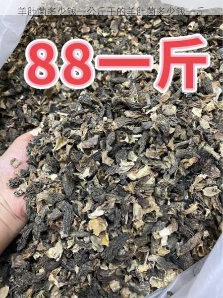 羊肚菌多少钱一公斤干的羊肚菌多少钱一斤第1张-蔬菜基地绿色种植产业带