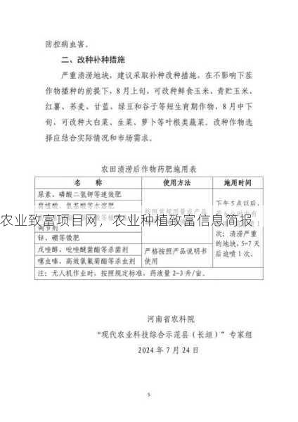 农业致富项目网，农业种植致富信息简报第2张-蔬菜基地绿色种植产业带