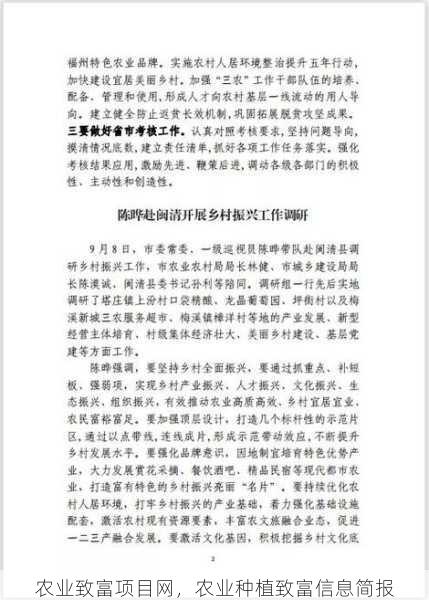 农业致富项目网，农业种植致富信息简报第1张-蔬菜基地绿色种植产业带