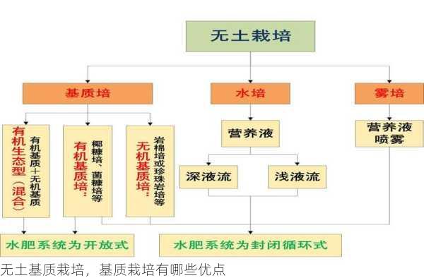 无土基质栽培，基质栽培有哪些优点第2张-蔬菜基地绿色种植产业带