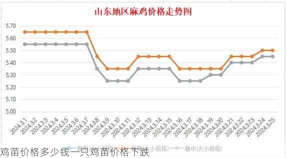 鸡苗价格多少钱一只鸡苗价格下跌第2张-蔬菜基地绿色种植产业带