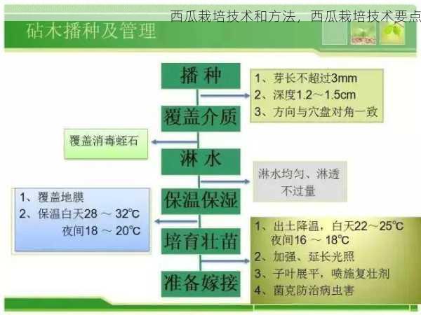 西瓜栽培技术和方法，西瓜栽培技术要点第1张-蔬菜基地绿色种植产业带