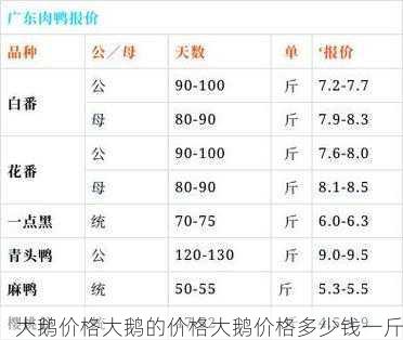 大鹅价格大鹅的价格大鹅价格多少钱一斤第1张-蔬菜基地绿色种植产业带