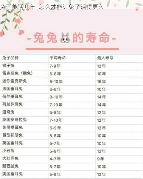 兔子能活几年  怎么才能让兔子活得更久第1张-蔬菜基地绿色种植产业带