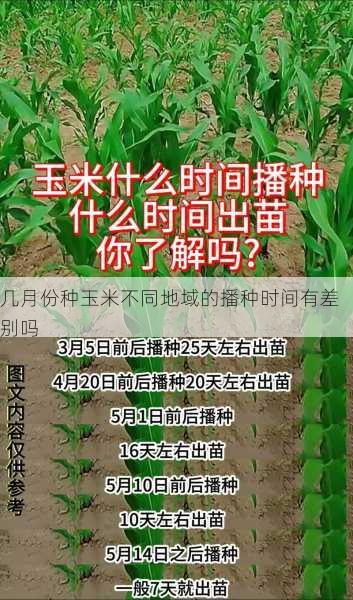 几月份种玉米不同地域的播种时间有差别吗第1张-蔬菜基地绿色种植产业带