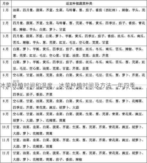 冰菜种植时间和温度，冰菜种植时间及方法一年四季第2张-蔬菜基地绿色种植产业带