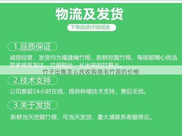 竹子出售怎么找收购商毛竹苗的价格第1张-蔬菜基地绿色种植产业带