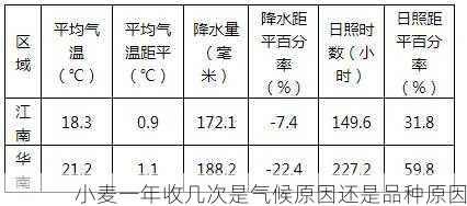 小麦一年收几次是气候原因还是品种原因第2张-蔬菜基地绿色种植产业带