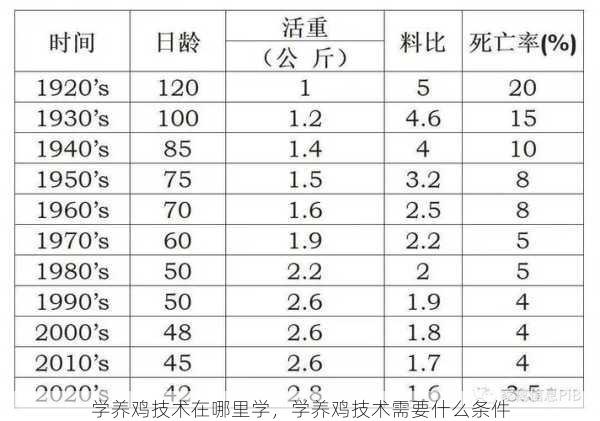 学养鸡技术在哪里学，学养鸡技术需要什么条件第2张-蔬菜基地绿色种植产业带