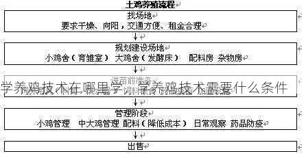 学养鸡技术在哪里学，学养鸡技术需要什么条件第1张-蔬菜基地绿色种植产业带