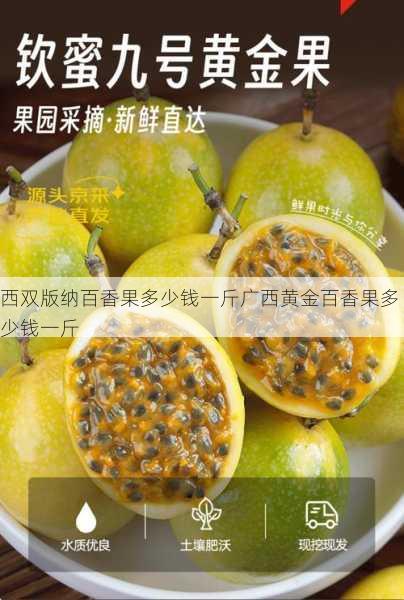 西双版纳百香果多少钱一斤广西黄金百香果多少钱一斤第1张-蔬菜基地绿色种植产业带