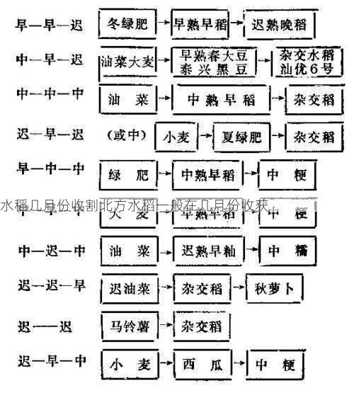 水稻几月份收割北方水稻一般在几月份收获第1张-蔬菜基地绿色种植产业带