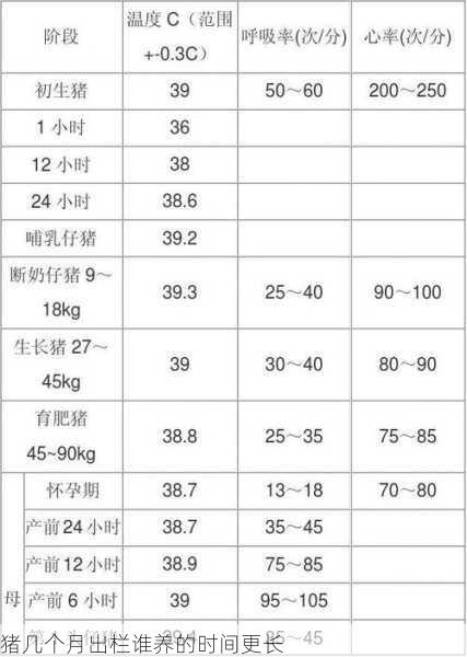 猪几个月出栏谁养的时间更长第2张-蔬菜基地绿色种植产业带