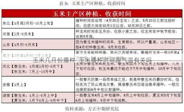 玉米几月份播种  玉米播种时间跟气温有关吗第1张-蔬菜基地绿色种植产业带