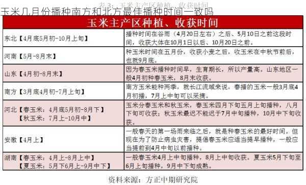 玉米几月份播种南方和北方最佳播种时间一致吗第1张-蔬菜基地绿色种植产业带