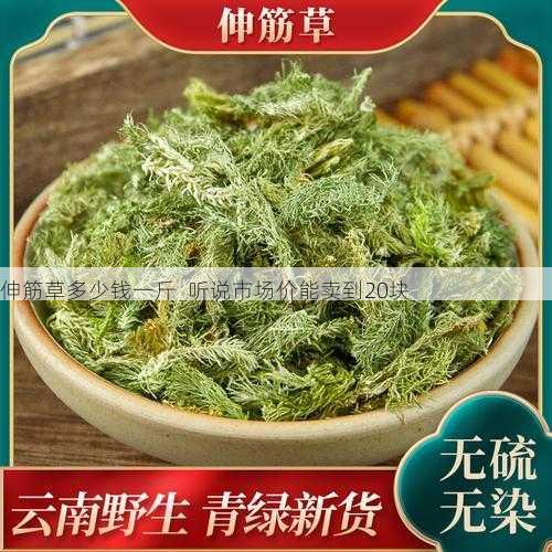 伸筋草多少钱一斤  听说市场价能卖到20块第2张-蔬菜基地绿色种植产业带