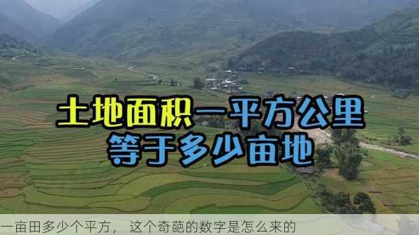 一亩田多少个平方， 这个奇葩的数字是怎么来的第1张-蔬菜基地绿色种植产业带