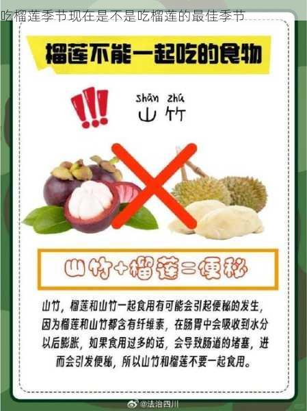 吃榴莲季节现在是不是吃榴莲的最佳季节第1张-蔬菜基地绿色种植产业带