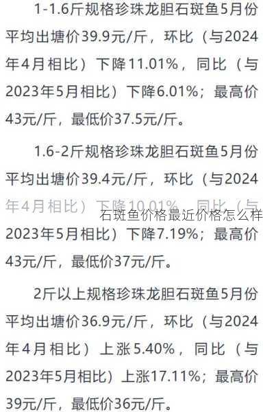 石斑鱼价格最近价格怎么样第1张-蔬菜基地绿色种植产业带