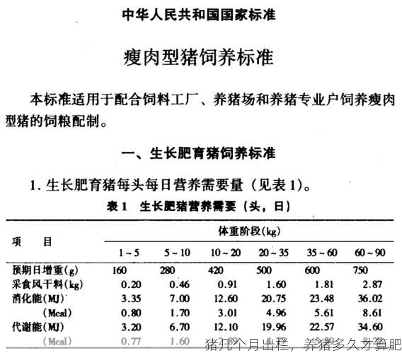 猪几个月出栏，养猪多久才算肥第2张-蔬菜基地绿色种植产业带