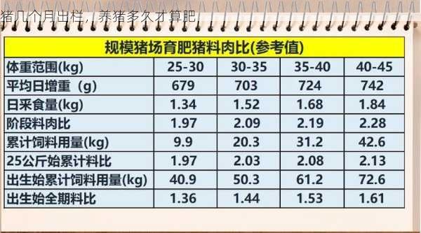 猪几个月出栏，养猪多久才算肥第1张-蔬菜基地绿色种植产业带