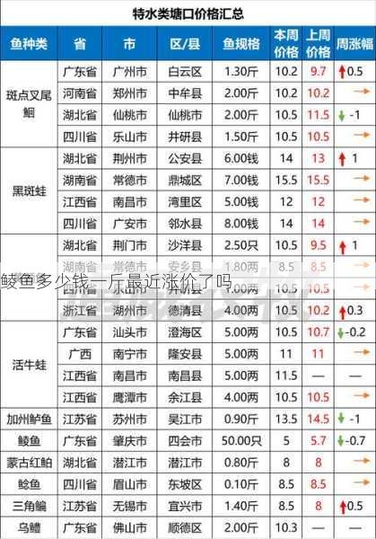 鲮鱼多少钱一斤最近涨价了吗第1张-蔬菜基地绿色种植产业带