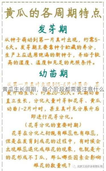 黄瓜生长周期，每个阶段都需要注意什么第2张-蔬菜基地绿色种植产业带