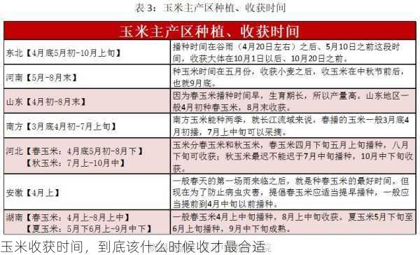 玉米收获时间，到底该什么时候收才最合适第1张-蔬菜基地绿色种植产业带