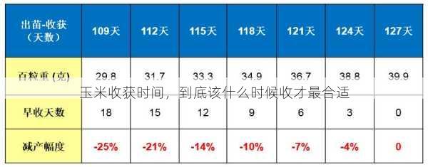 玉米收获时间，到底该什么时候收才最合适第2张-蔬菜基地绿色种植产业带