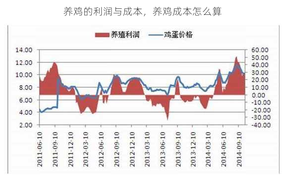 养鸡的利润与成本，养鸡成本怎么算第1张-蔬菜基地绿色种植产业带