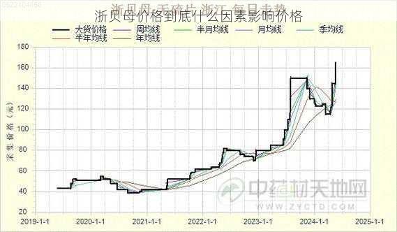 浙贝母价格到底什么因素影响价格第2张-蔬菜基地绿色种植产业带