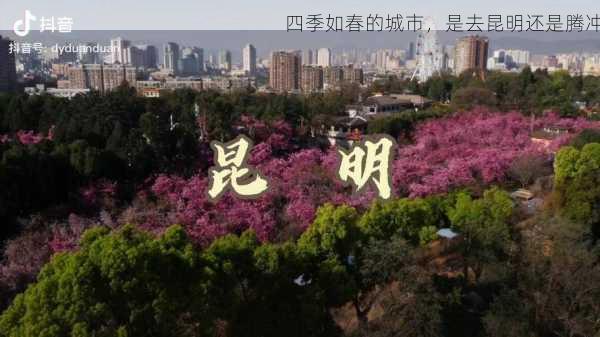 四季如春的城市，是去昆明还是腾冲第2张-蔬菜基地绿色种植产业带