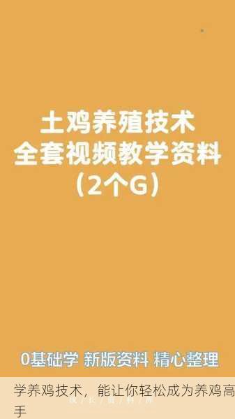 学养鸡技术，能让你轻松成为养鸡高手第2张-蔬菜基地绿色种植产业带