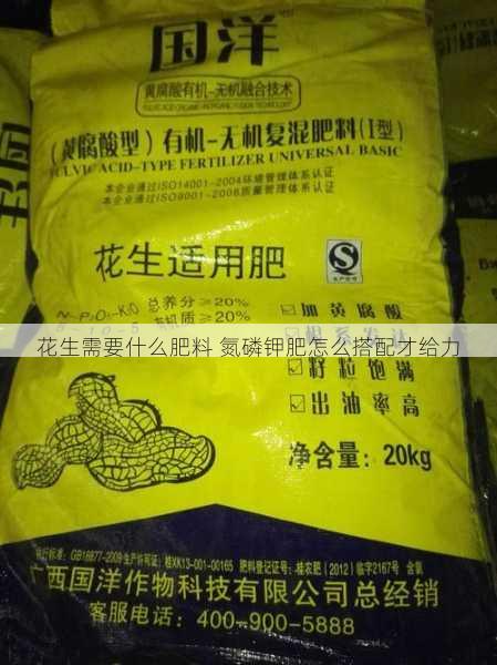 花生需要什么肥料 氮磷钾肥怎么搭配才给力第2张-蔬菜基地绿色种植产业带