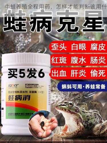 牛蛙养殖全程用药，怎样才能判断该用什么药第1张-蔬菜基地绿色种植产业带