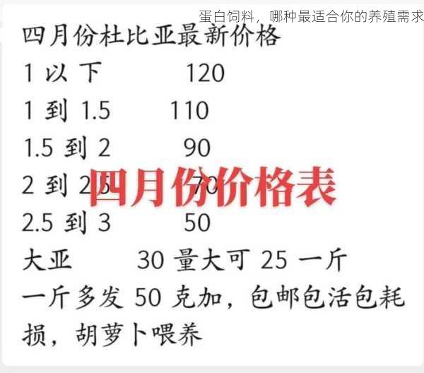 蛋白饲料，哪种最适合你的养殖需求第2张-蔬菜基地绿色种植产业带