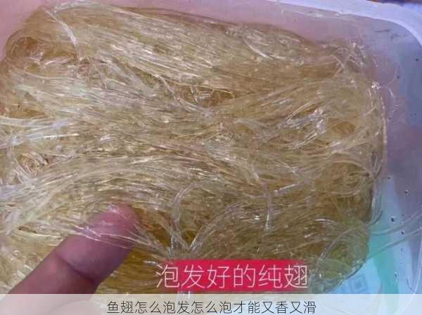 鱼翅怎么泡发怎么泡才能又香又滑第2张-蔬菜基地绿色种植产业带