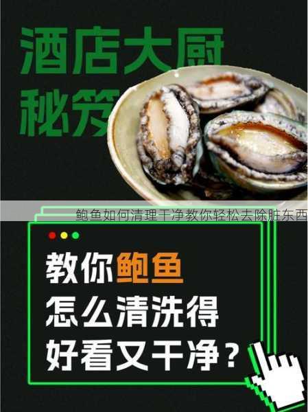 鲍鱼如何清理干净教你轻松去除脏东西第2张-蔬菜基地绿色种植产业带