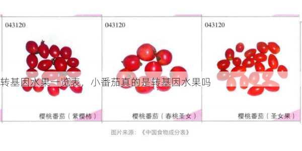 转基因水果一览表，小番茄真的是转基因水果吗第1张-蔬菜基地绿色种植产业带