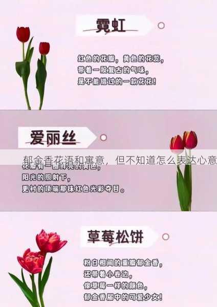 郁金香花语和寓意，但不知道怎么表达心意第2张-蔬菜基地绿色种植产业带