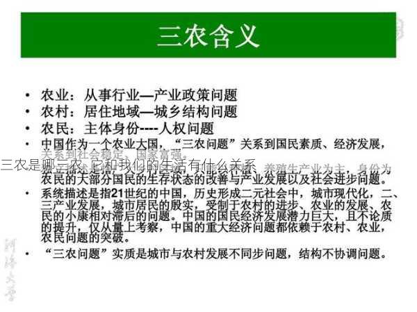 三农是哪三农  它和我们的生活有什么关系第2张-蔬菜基地绿色种植产业带