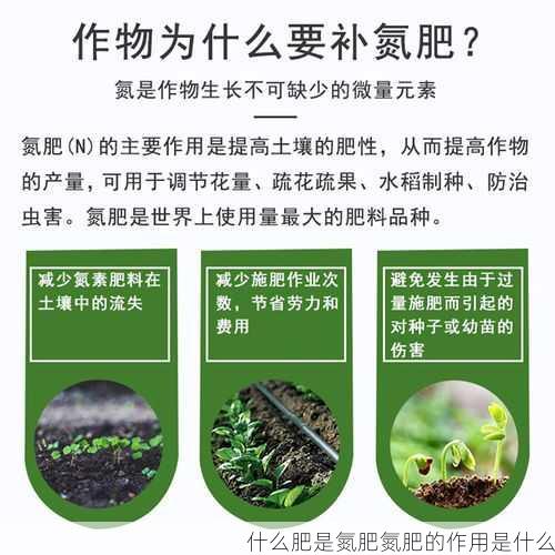 什么肥是氮肥氮肥的作用是什么第2张-蔬菜基地绿色种植产业带