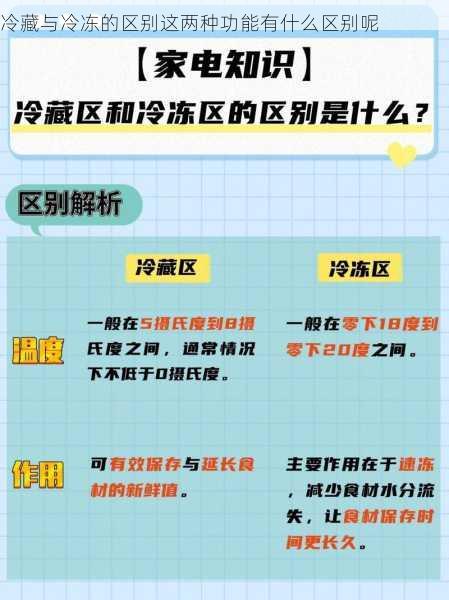 冷藏与冷冻的区别这两种功能有什么区别呢第2张-蔬菜基地绿色种植产业带