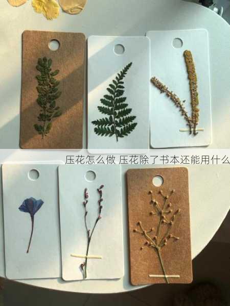 压花怎么做 压花除了书本还能用什么第2张-蔬菜基地绿色种植产业带