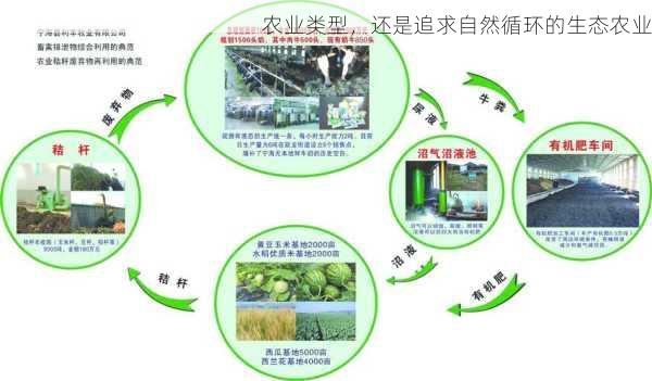 农业类型，还是追求自然循环的生态农业第1张-蔬菜基地绿色种植产业带