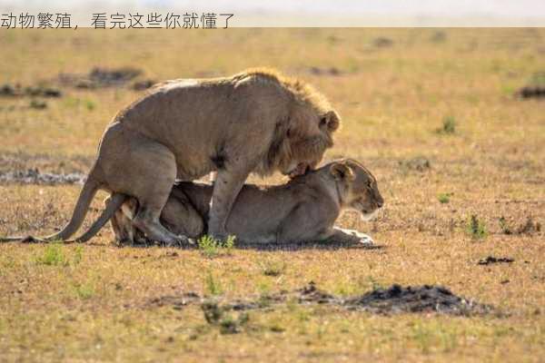 动物繁殖，看完这些你就懂了第1张-蔬菜基地绿色种植产业带