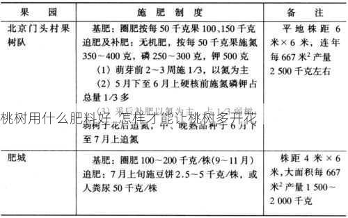 桃树用什么肥料好  怎样才能让桃树多开花第1张-蔬菜基地绿色种植产业带